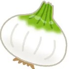 新玉ねぎ