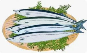 秋刀魚